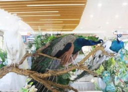 郑州公司吃瓜娱乐公司