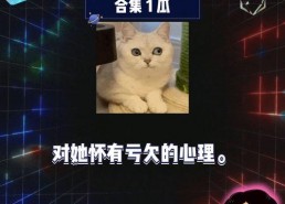 快乐吃瓜娱乐新闻视频大全,快乐吃瓜时刻大盘点！