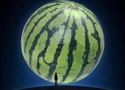 坐等吃瓜是什么意思,揭秘网络热议背后的围观心理