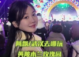 娱乐吃瓜少女阿飘,娱乐吃瓜少女的趣味人生解码