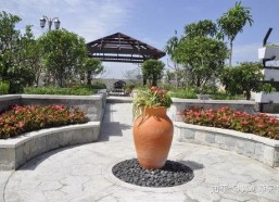 娱乐吃瓜酱花园,揭秘娱乐圈那些不为人知的幕后故事