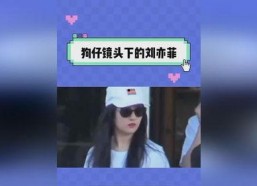 娱乐吃瓜记事本,吃瓜群众视角下的明星八卦