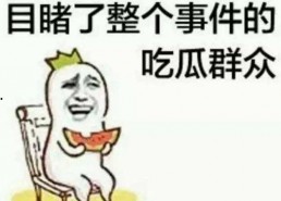 吃瓜群众在七零 穿书