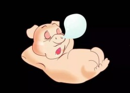 吃瓜猪娱乐,揭秘娱乐圈幕后故事，带你领略明星们的真实生活