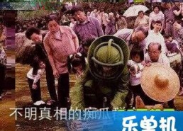 吃瓜群众是什么意思由来