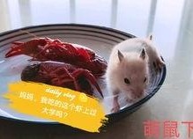 吃瓜娱乐背景板,揭秘娱乐圈幕后那些事儿