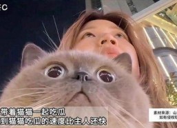 娱乐猫吃瓜,揭秘娱乐圈那些不为人知的幕后故事