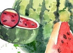 2020年吃瓜汇总,盘点娱乐圈、社会热点中的那些“瓜”